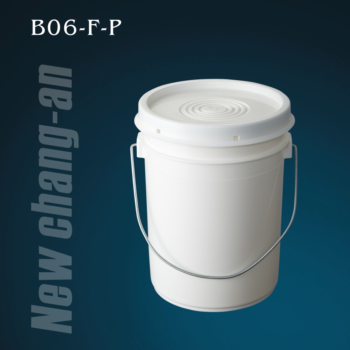 B06-F-P