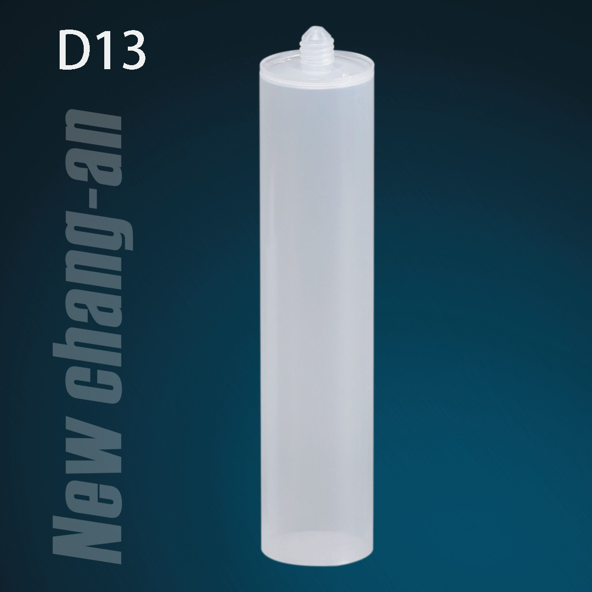 د13